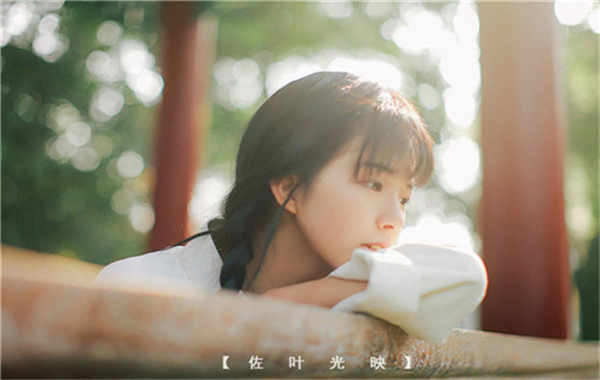 无极胎儿性别鉴定需要多少钱(胎儿性别鉴定的方法)